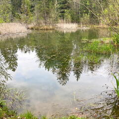 23-04-30 15-49-39 5256